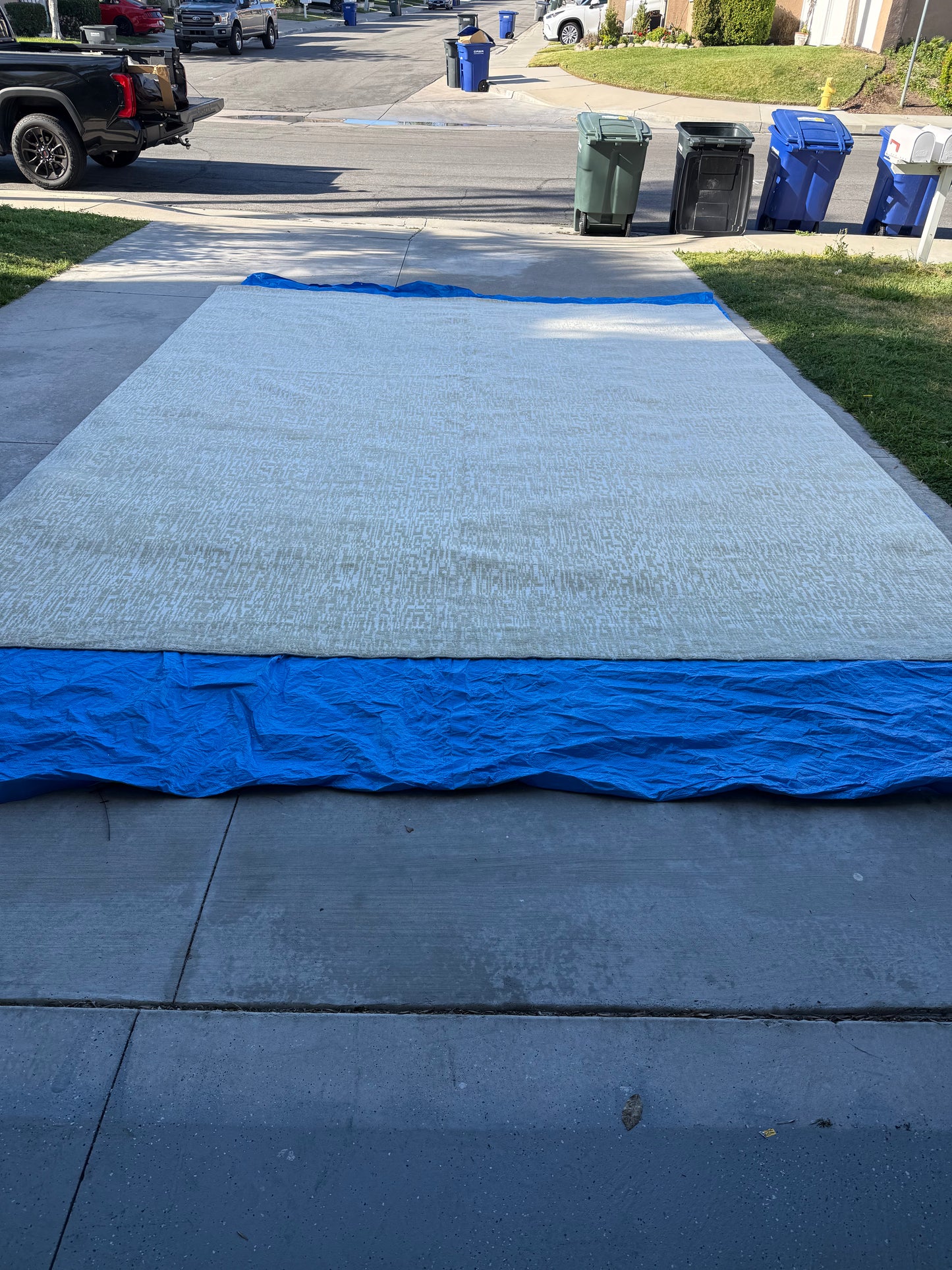 Restoration Hardware Matrice Rug