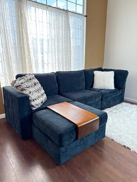 LoveSac Modular Sectional Couch