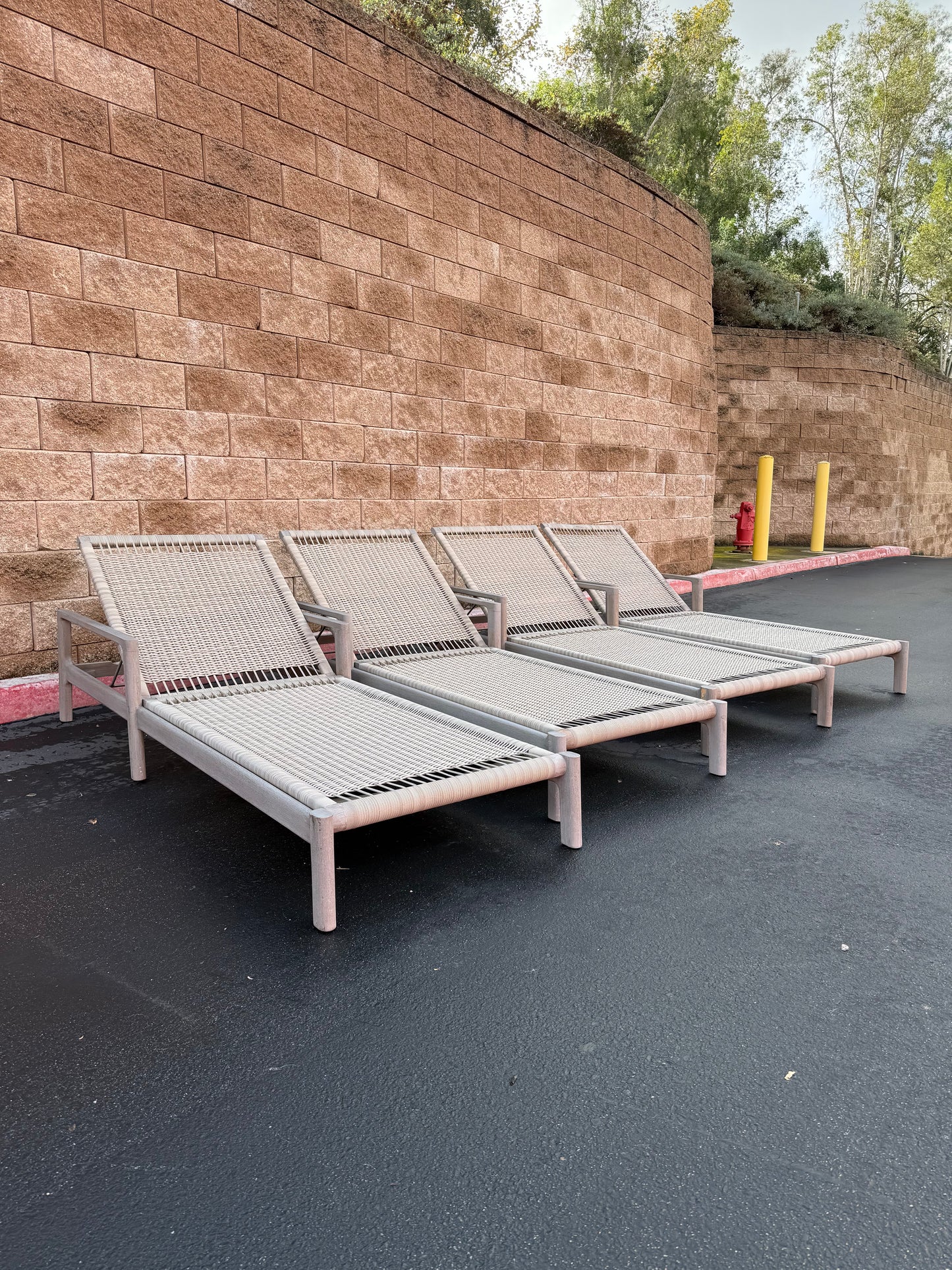 Restoration Hardware Pool Chaises