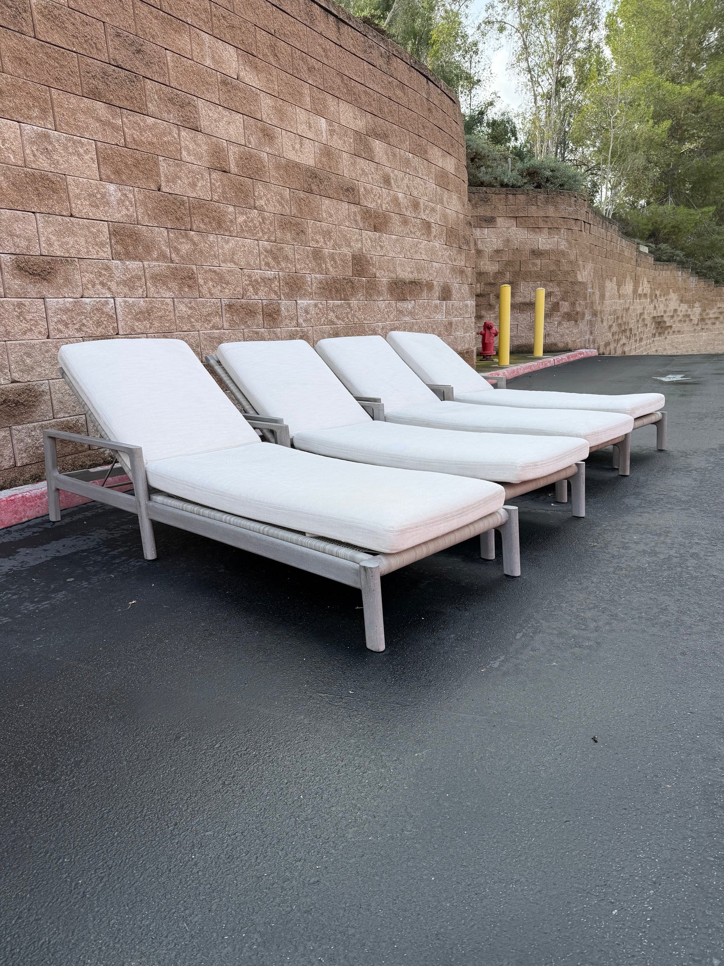 Restoration Hardware Pool Chaises