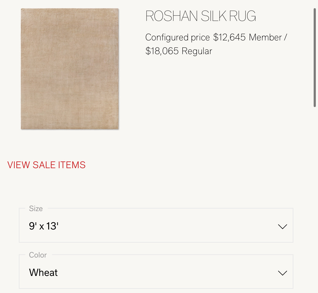 RH ROSHAN SILK Rug