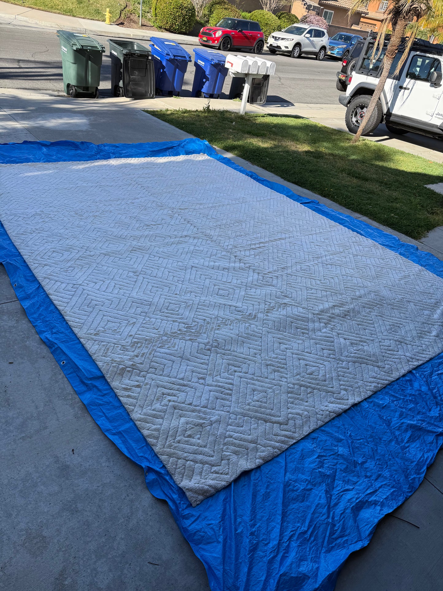 Restoration Hardware Talsari Silk and Wool rug