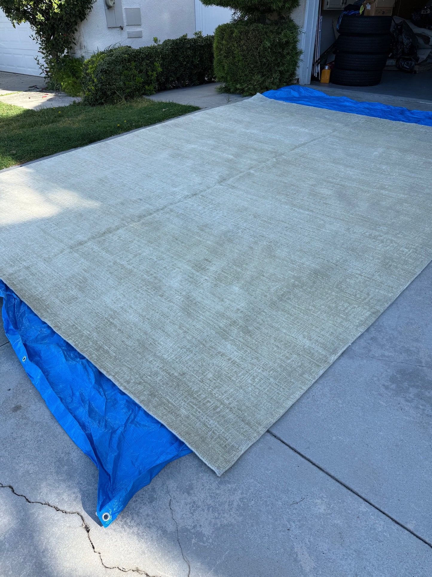 Restoration Hardware Matrice Rug