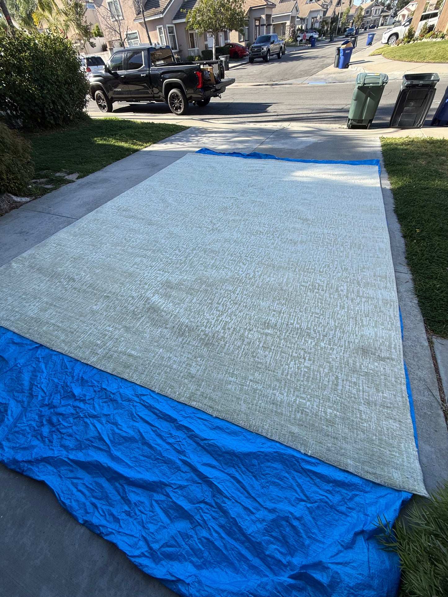 Restoration Hardware Matrice Rug
