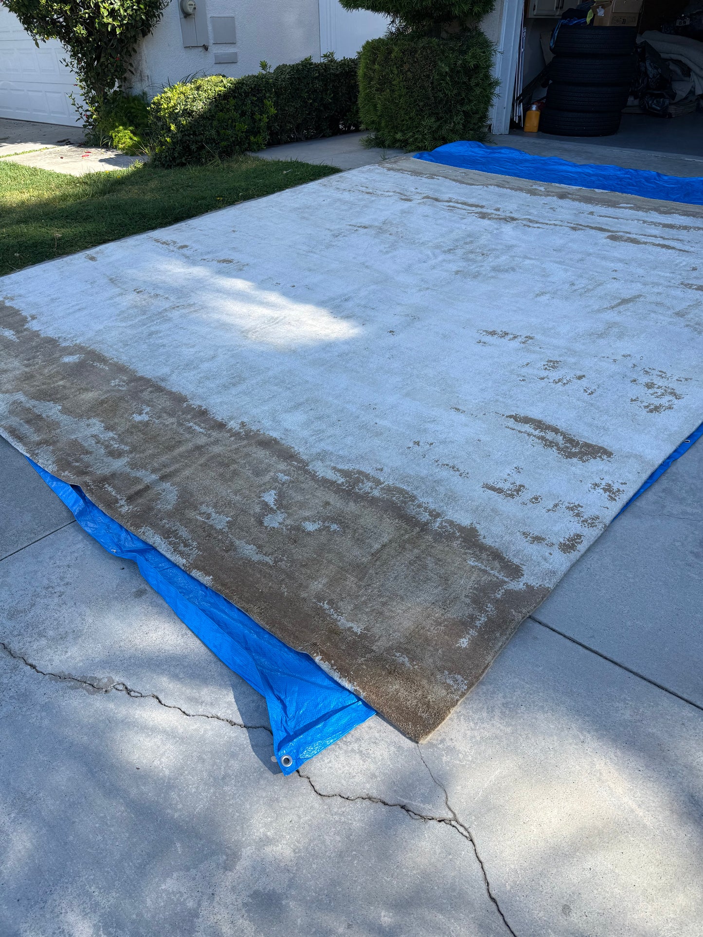Restoration Hardware Suvali Silk & Wool