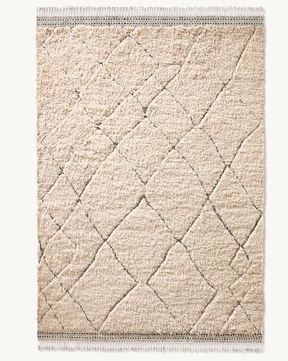 Restoration Hardware Dari Rug
