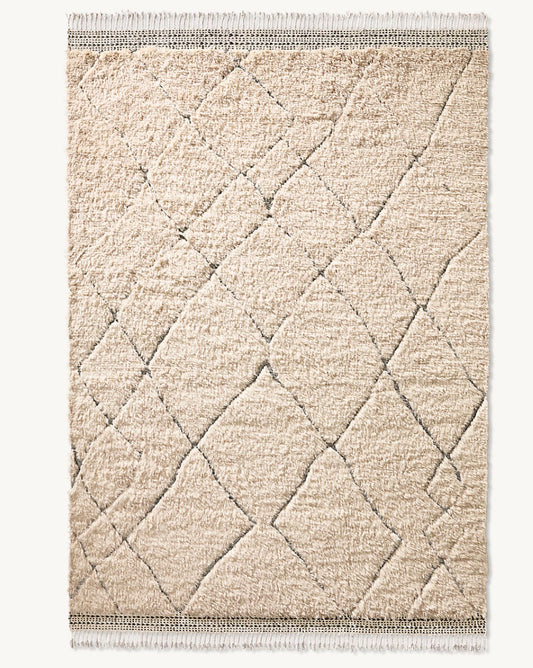 Restoration Hardware Dari Rug