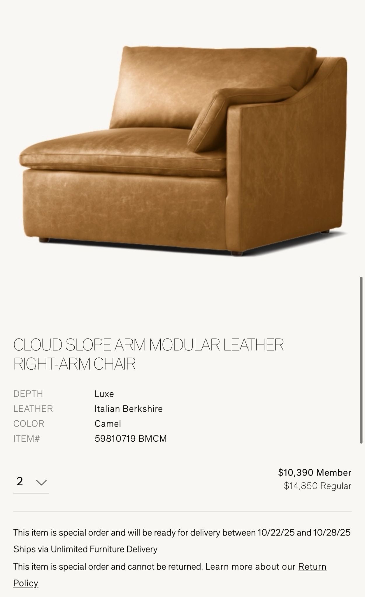 Restoration Hardware Cloud Couch